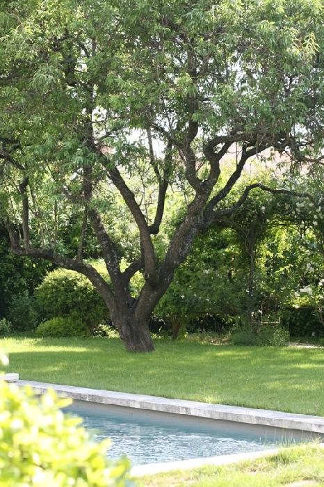 Mas in Luberon, in the heart of a nice village, with garden and swimming pool